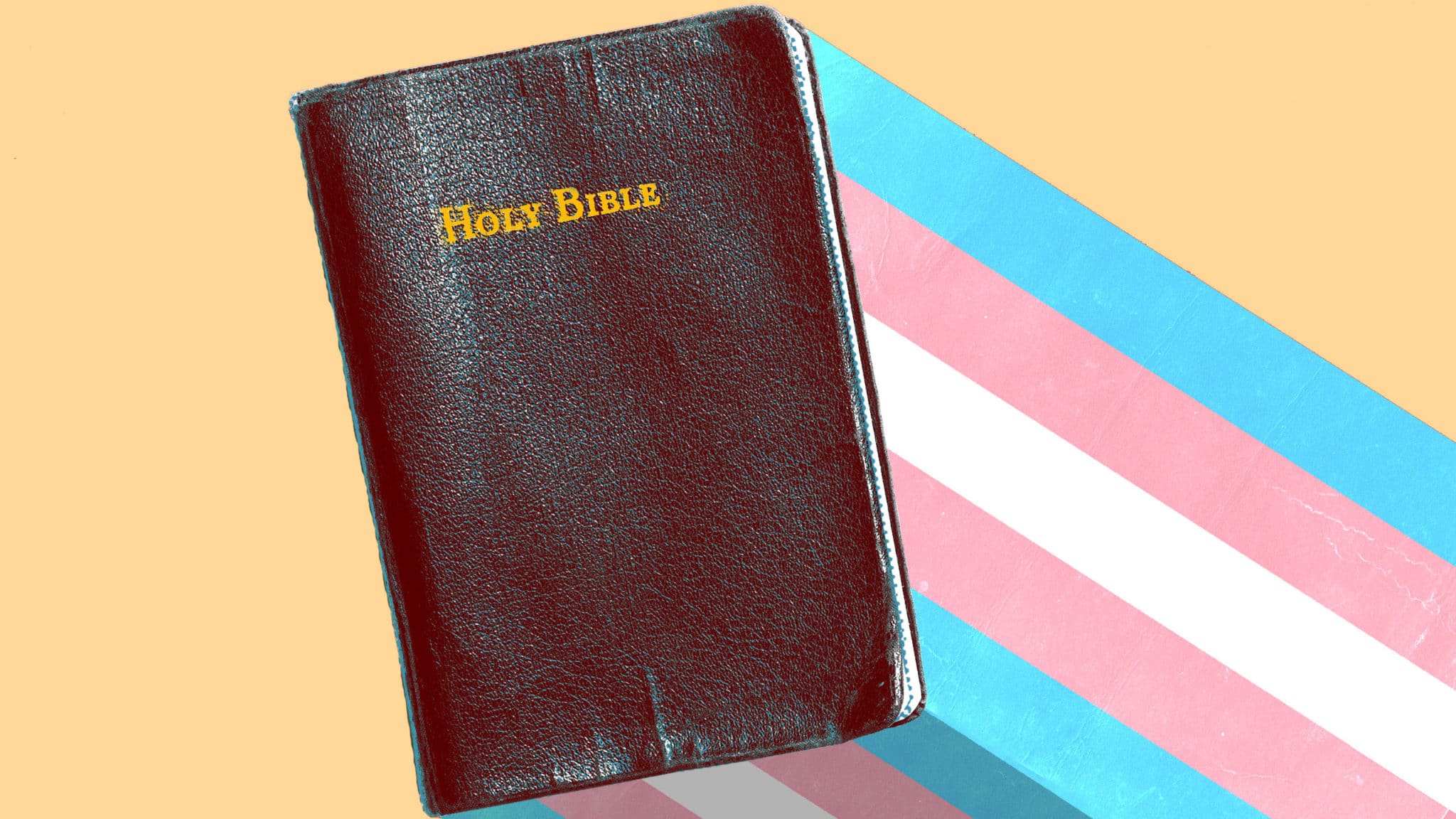 Transgender Bible